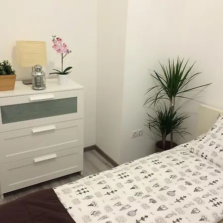 市中心豪华公寓 *